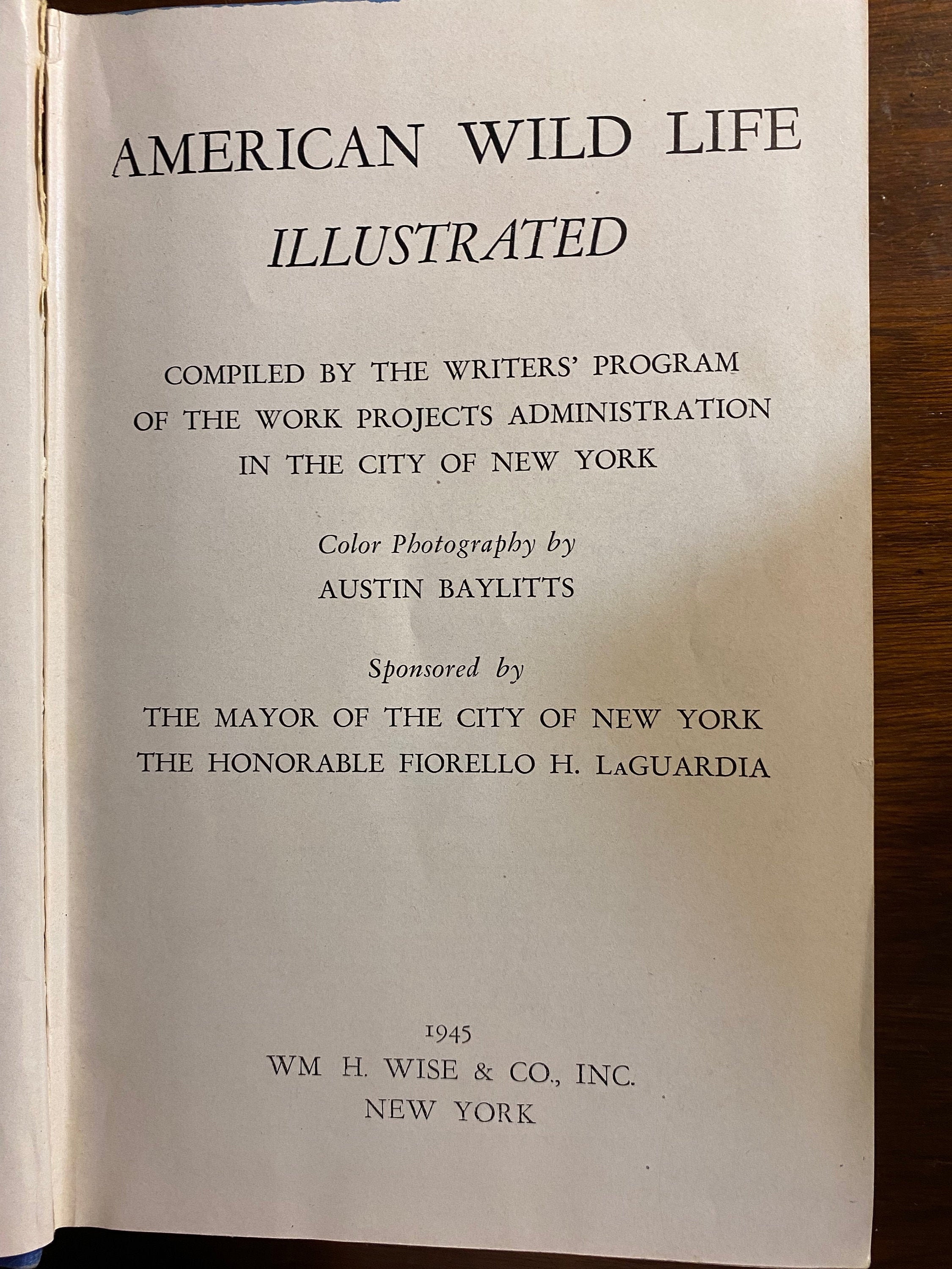 American Wild Life Illustrated - Austin Baylitts - 1945 - Mammals, Fish,Trees, Snakes etc - Work Projects Admin in the City of New York