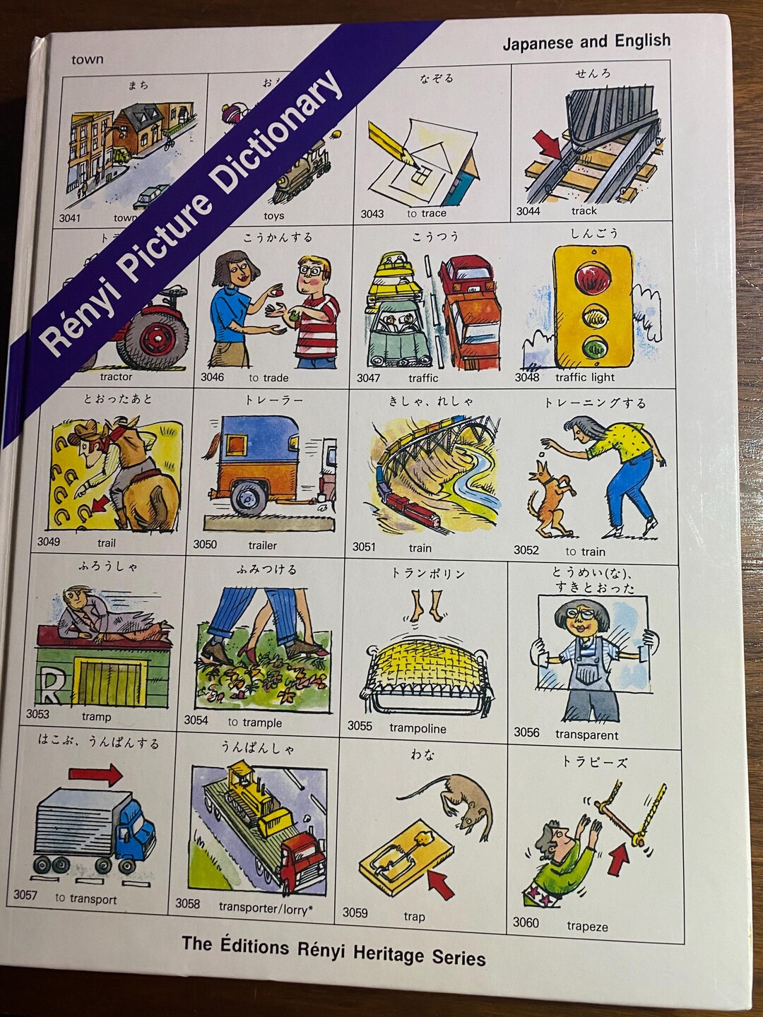 Renyi Picture Dictionary Japanese and English - Kanji - Japanese