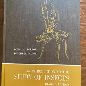 An Introduction To The Study Of Insects Donald Borror / Dwight DeLong - 1964 - Characteristics Encyclopedia - Reference Handbook Zoology