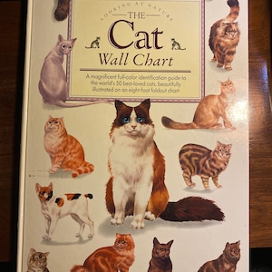 El gráfico mural del gato - Mirando la naturaleza - 50 imágenes de gatos - 1991 - Características felinos