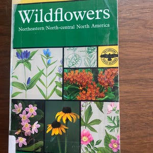 Puede incluir: Un libro de tapa blanda titulado Peterson Field Guides Wildflowers Northeastern/North-central North America por Roger Tory Peterson y Margaret McKenny. La portada presenta un fondo verde con varias ilustraciones en color de flores silvestres.