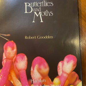 Wonderful World of Butterflies and Moths - Robert Goodden - 1977 - Characteristics - Identification - Types  - Habitat -  color pictures