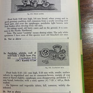 How To Know The Non-Gilled Fleshy Fungi - Mushrooms - Helen / Alex Smith - 1973 - Mycology - Characteristics - Identification - Botany - image 10