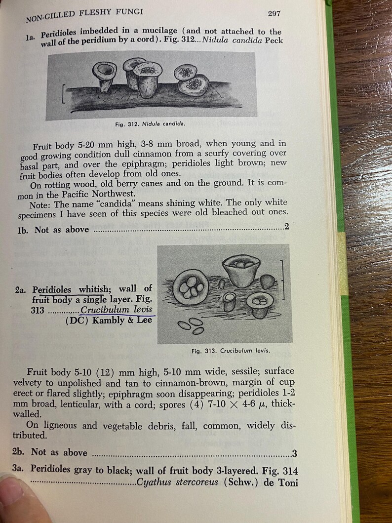 How To Know The Non-Gilled Fleshy Fungi - Mushrooms - Helen / Alex Smith - 1973 - Mycology - Characteristics - Identification - Botany - image 10