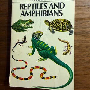 Op de afbeelding: Een paperbackboek met de titel A GOLDEN GUIDE REPTILES AND AMPHIBIANS met een crèmekleurige kaft met kleurrijke illustraties van een groene kikker, een geel en zwart gevlekte schildpad, een groene hagedis, een kleine hagedis en een rood, zwart en gele slang.
