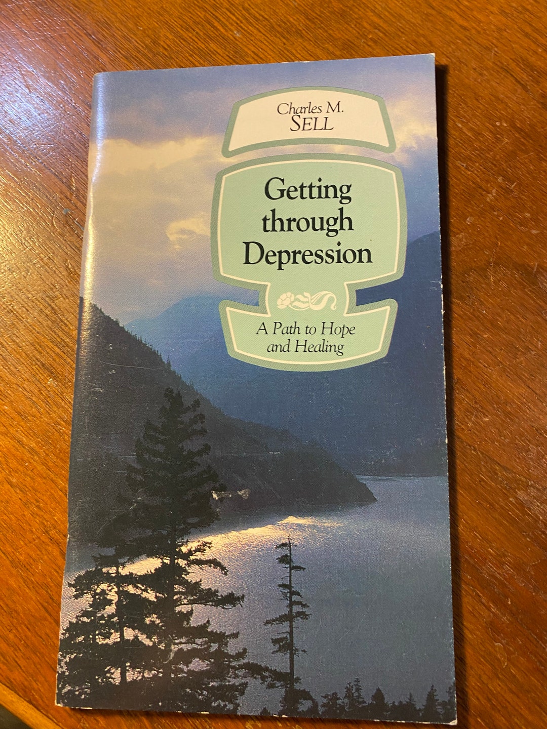 Getting Through Depression A Path to Hope and Healing - Charles Sell ...