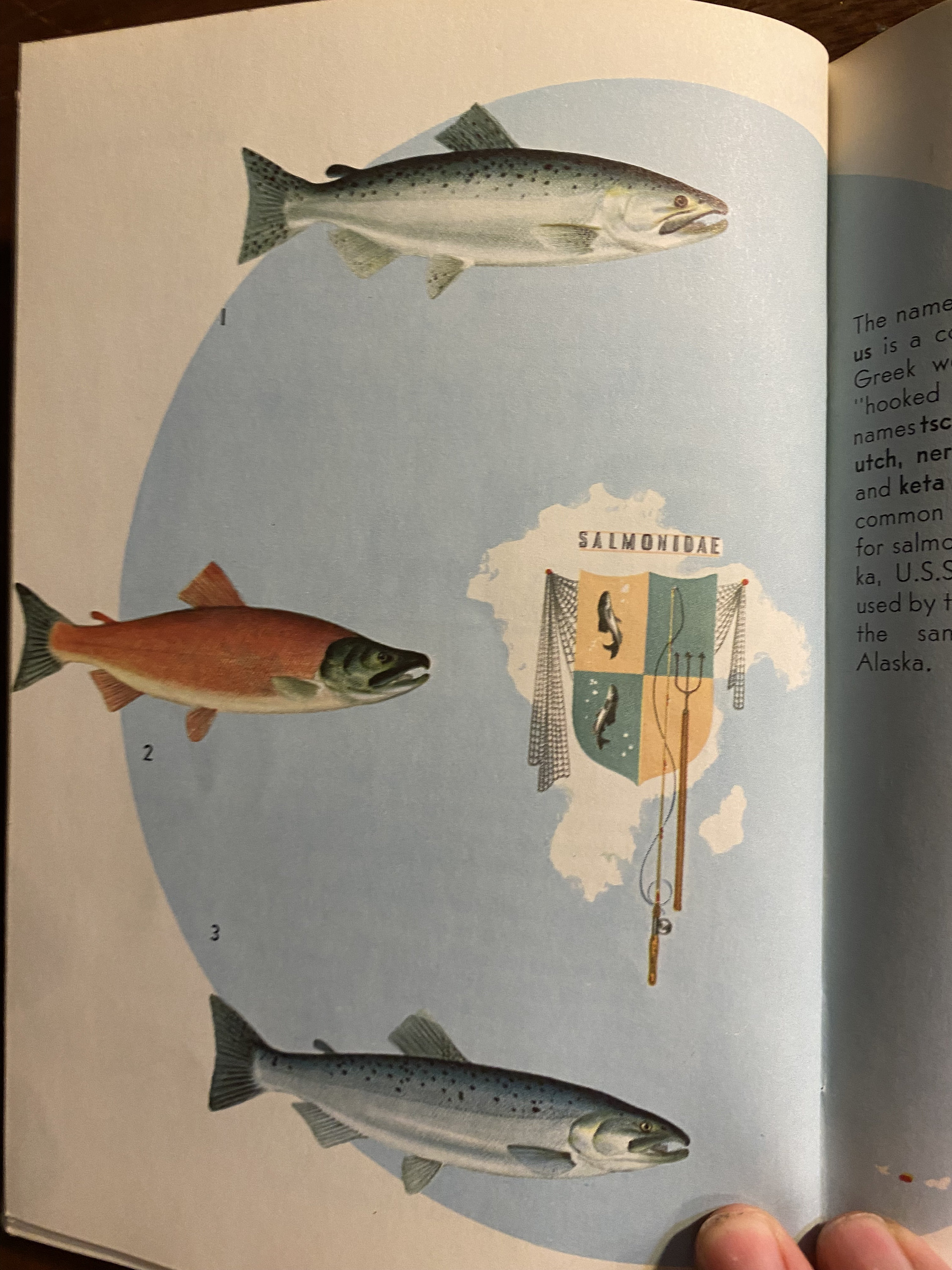 KNOW YOUR FISH by Tom Dolan. A Sports Afield Collection BL26 $10.00 - PicClick CA