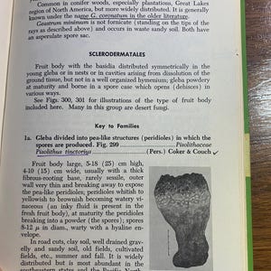 How To Know The Non-Gilled Fleshy Fungi - Mushrooms - Helen / Alex Smith - 1973 - Mycology - Characteristics - Identification - Botany - image 9
