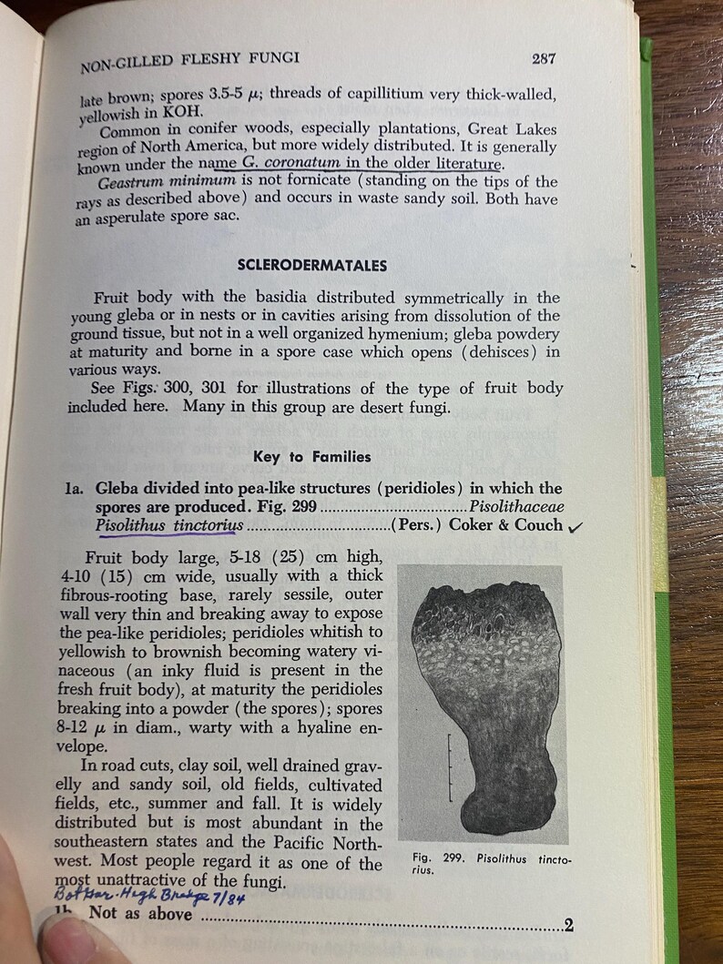 How To Know The Non-Gilled Fleshy Fungi - Mushrooms - Helen / Alex Smith - 1973 - Mycology - Characteristics - Identification - Botany - image 9