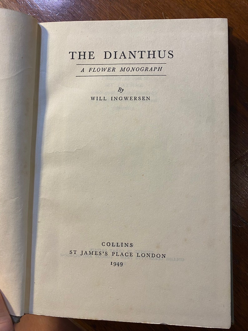 The Dianthus A Flower Monograph Will Ingwersen 1949 Garden / Flowers Species / Types Cultivation, Care and Exhibiting image 4