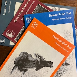 Algonquin Trail Guide - Ontario Canada - Wilderness Trail Guide Series - Wandern - Tiere - Geologie - Ökologie