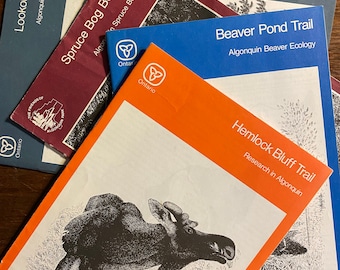 Algonquin Trail Guide Choose Title - Ontario Canadá - Wilderness Trail Guide Series - Senderismo - Animales - Geología - Ecología