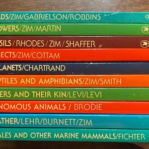 Può includere: Una pila di dieci libri Golden Books con dorsi colorati e titoli. I titoli includono Uccelli, Fiori, Fossili, Insetti, Pianeti, Rettili e Anfibi, Ragni e i loro parenti, Animali velenosi, Tempo e Balene e altri mammiferi marini.
