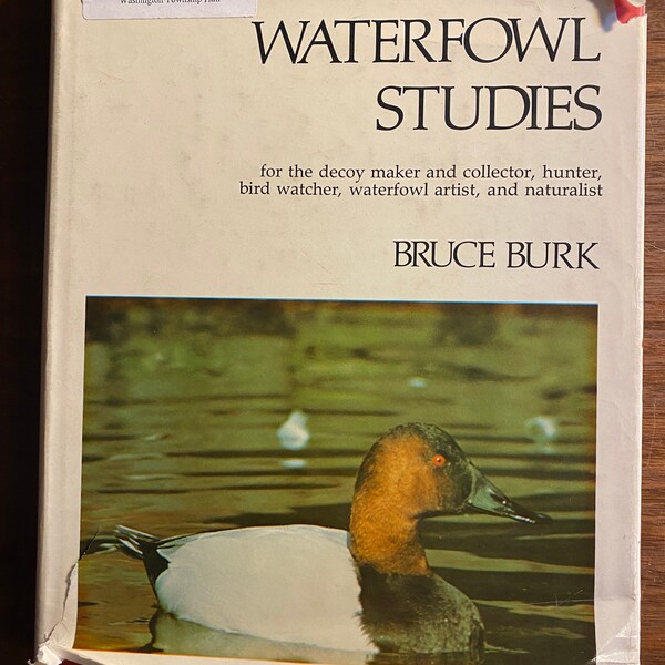 Waterfowl Studies - Bruce Burk - 1976 - Useful for the Duck Woodcarver, Painter, taxidermist - Packed with Photographs