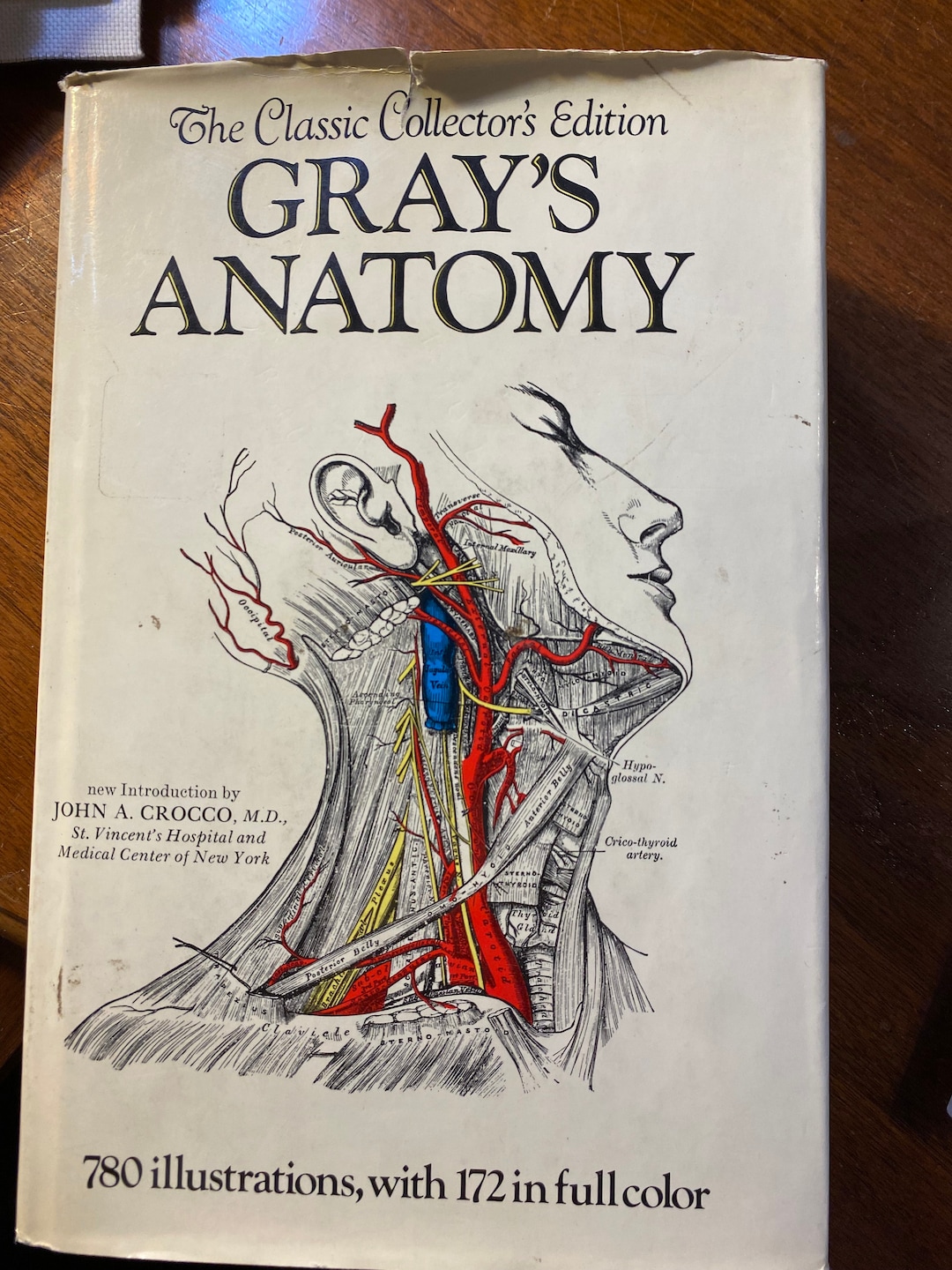 Gray's Anatomy of the Human Body - Henry Gray - 1977 Classic Collector