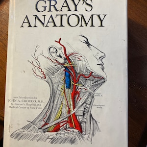 Può includere: Un'edizione vintage del libro "Gray's Anatomy". La copertina presenta un'illustrazione anatomica dettagliata della testa e del collo in bianco e nero, con dettagli rossi e gialli. Il titolo è in grassetto, in lettere nere, e il libro contiene 780 illustrazioni, di cui 172 a colori.