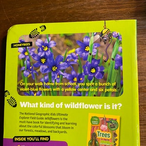 Wildflowers Ultimate Explorer Field Guide National Geographic Kids ...