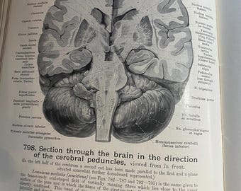 il_340x270.6839328199_jqbx.jpg