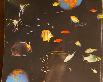 最近の絵画と彫刻の国際調査 - 1984 - 近代美術館 - 解説 - 作品の説明