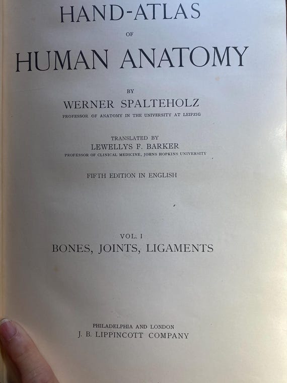 医学本　人解剖学ハンドアトラス　ヴェルナー・シュパルテホルツ著 Hand Atlas of Human Anatomy - Volume I Bones Joints Ligaments