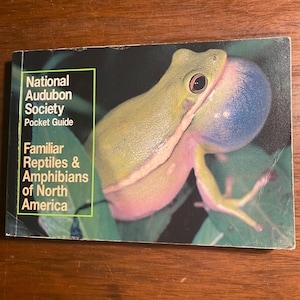Puede incluir: La portada de una guía de bolsillo de la National Audubon Society sobre reptiles y anfibios familiares de América del Norte presenta una rana arbórea verde con una bolsa azul en la garganta.