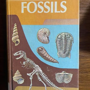 Fossils Golden Guide - Science Nature Geology - Frank Rhodes / H Zim - 1962 - Biological Past of Life on Earth -Artifacts Through Time
