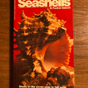 May include: A red book titled "Seashells" by R. Tucker Abbott. The cover features a close-up of a large seashell with intricate details. The text "Shells of the seven seas in full color" is printed below the title.