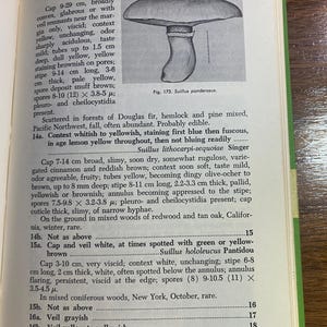How To Know The Non-Gilled Fleshy Fungi - Mushrooms - Helen / Alex Smith - 1973 - Mycology - Characteristics - Identification - Botany - image 7