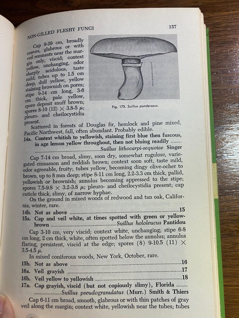How To Know The Non-Gilled Fleshy Fungi - Mushrooms - Helen / Alex Smith - 1973 - Mycology - Characteristics - Identification - Botany - image 7