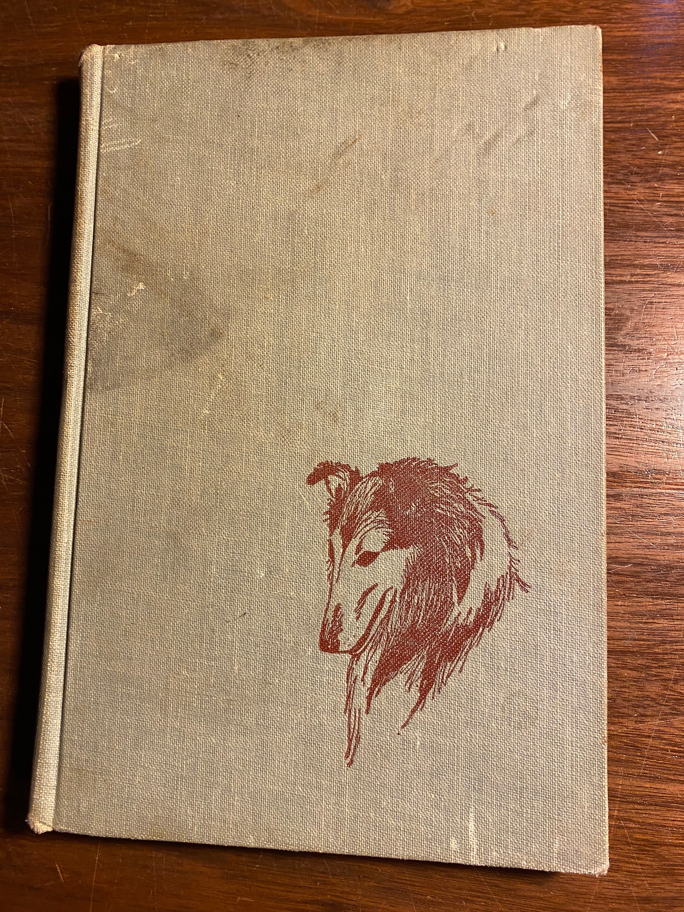 What Dog For Me? - Robert Masters - 1960 - Dog Pet Guide - Informational - Learn Care - Obedience - Choosing a Dog