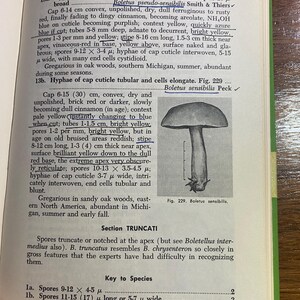 How To Know The Non-Gilled Fleshy Fungi - Mushrooms - Helen / Alex Smith - 1973 - Mycology - Characteristics - Identification - Botany - image 8