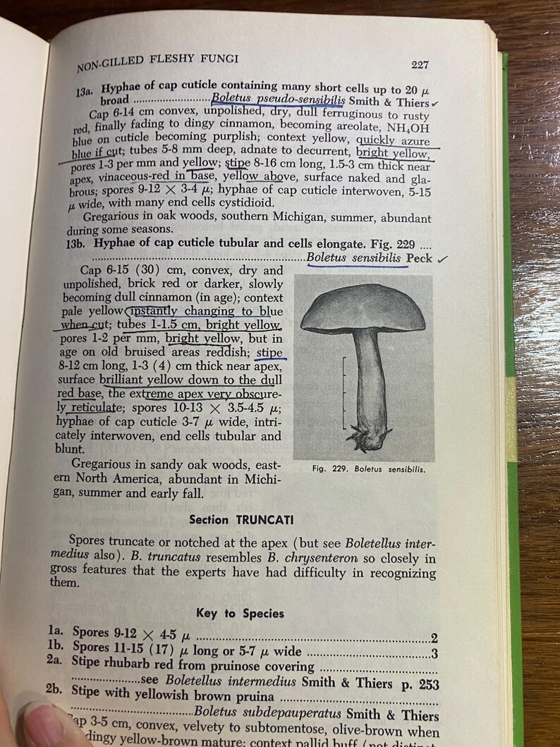 How To Know The Non-Gilled Fleshy Fungi - Mushrooms - Helen / Alex Smith - 1973 - Mycology - Characteristics - Identification - Botany - image 8
