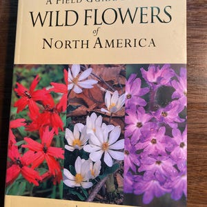 Wild Flowers of North America A Field Guide - Joan Barker - 2006 - Identification Field Guide - Illustrations -  Nature Series
