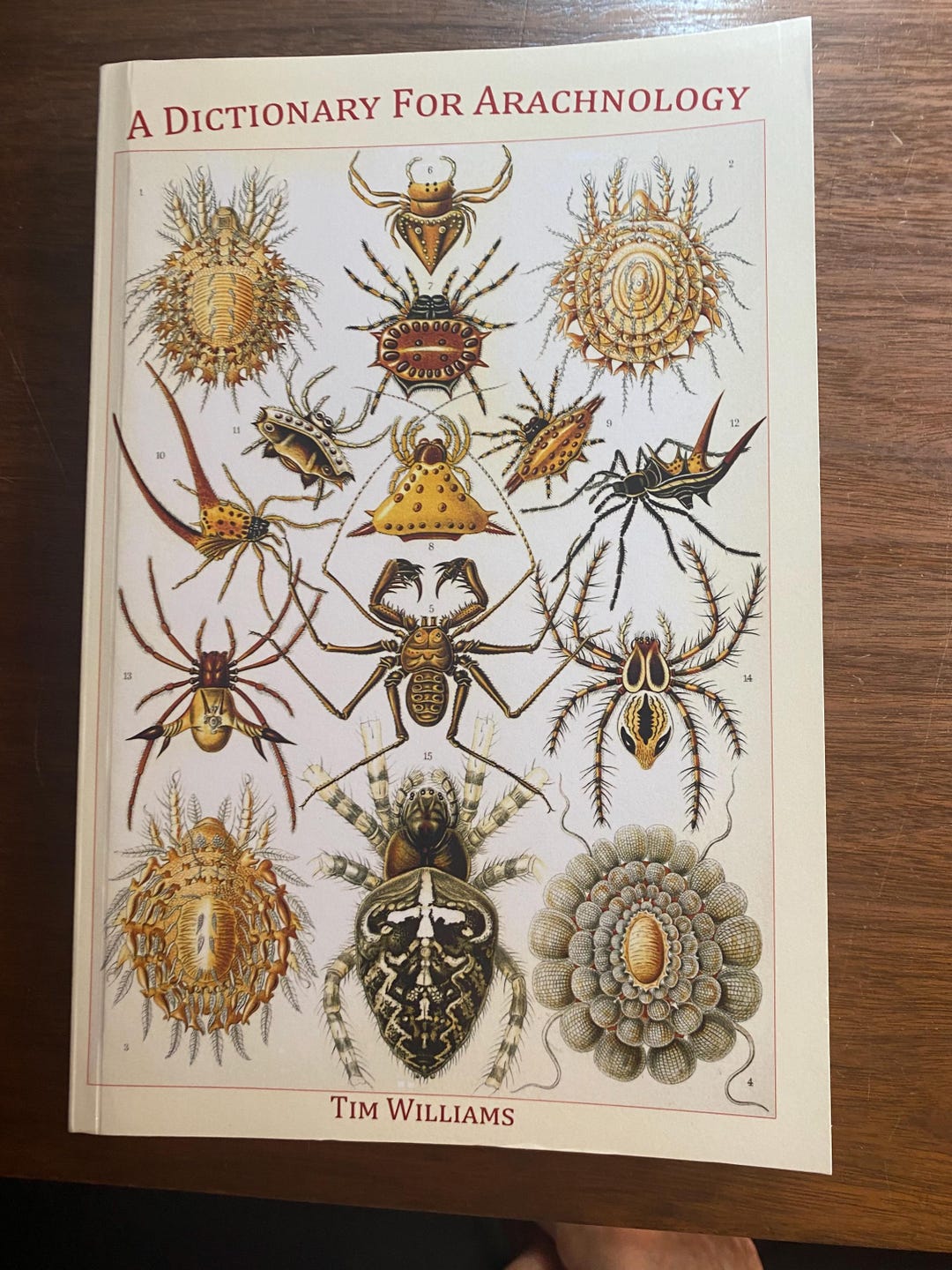A Dictionary for Arachnology - Invertebrate / Bugs / Insects / Animals ...