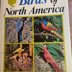 Op de afbeelding: Een vintage boek getiteld "Birds of North America" door Bertel Bruun. De omslag toont een kaart van Noord-Amerika en vier kleurrijke vogelillustraties. De omslag van het boek is wit met blauwe en groene tekst.