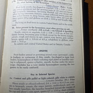 How To Know The Non-Gilled Fleshy Fungi - Mushrooms - Helen / Alex Smith - 1973 - Mycology - Characteristics - Identification - Botany - image 6