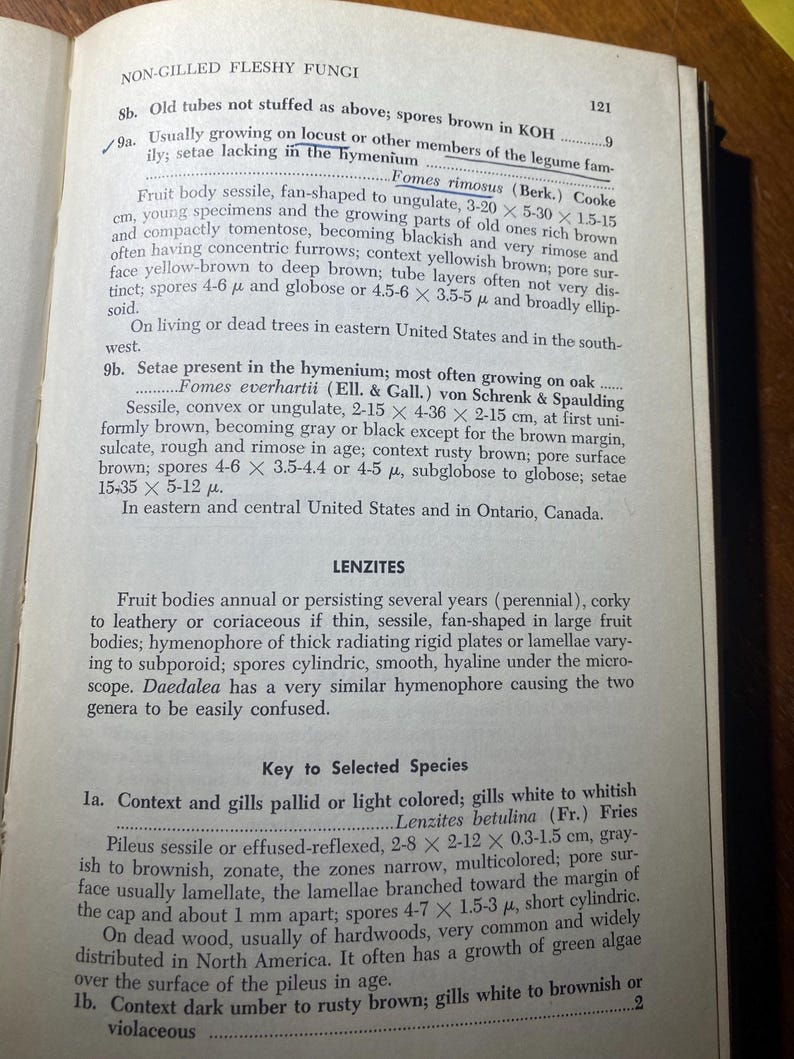 How To Know The Non-Gilled Fleshy Fungi - Mushrooms - Helen / Alex Smith - 1973 - Mycology - Characteristics - Identification - Botany - image 6