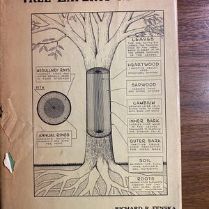 May include: Vintage "Tree Experts Manual" book cover. The cover features a detailed illustration of a tree's anatomy, including leaves, heartwood, sapwood, and roots. The title is in bold, black letters.