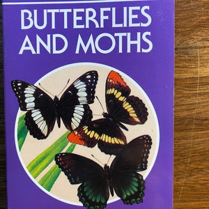 May include: A purple book cover with the title "Butterflies and Moths" in white text. The cover features a colorful illustration of three butterflies on a green leaf background. The book is part of the "Golden Guide" series and states "Full-color, Easy-to-Use" at the bottom.