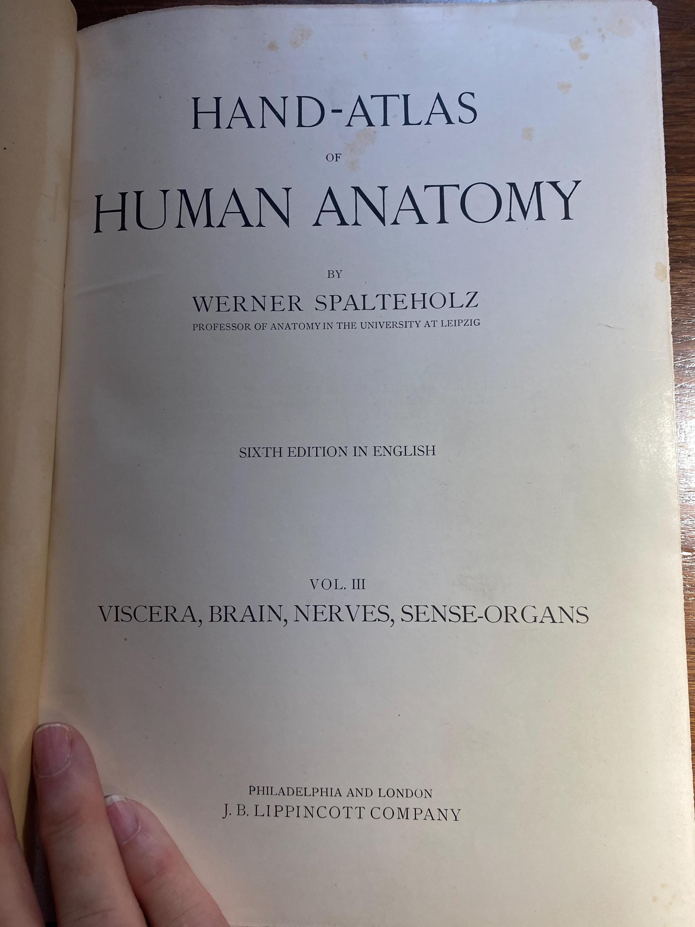医学本　人解剖学ハンドアトラス　ヴェルナー・シュパルテホルツ著 Hand Atlas of Human Anatomy by Spalteholz, Werner: Fine Full