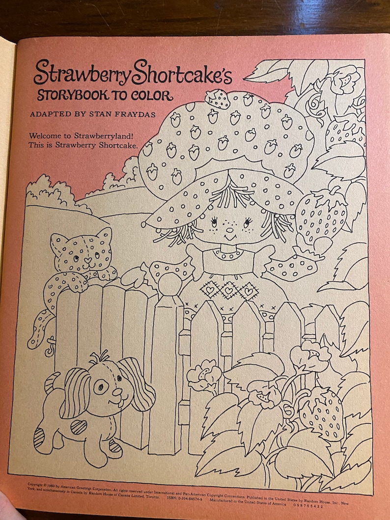 Strawberry Shortcake's Storybook to Color Random House - Etsy