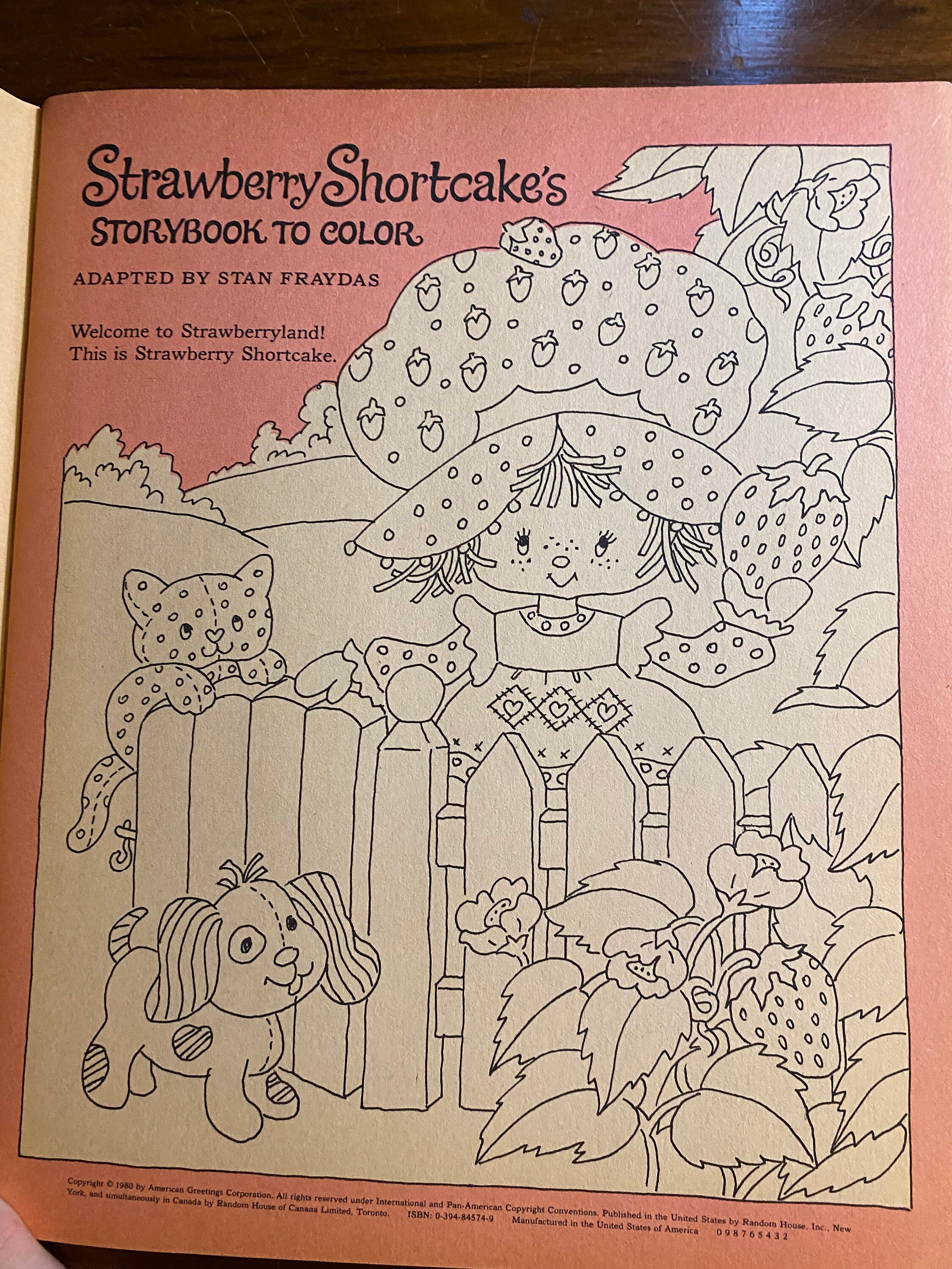 Strawberry Shortcake's Storybook to Color Random House - Etsy Canada
