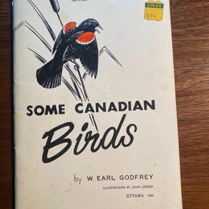 Some Canadian Birds - Canada -  W Earl Godrey - Identification Reference Guide - 1966 - Classification - B&W Pictures