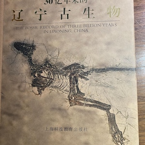 Fossil Record Three Billion Years In Liaoning China 2011 Biological Past Life on Earth - Artifacts Through Time Archeology - Chinese Edition