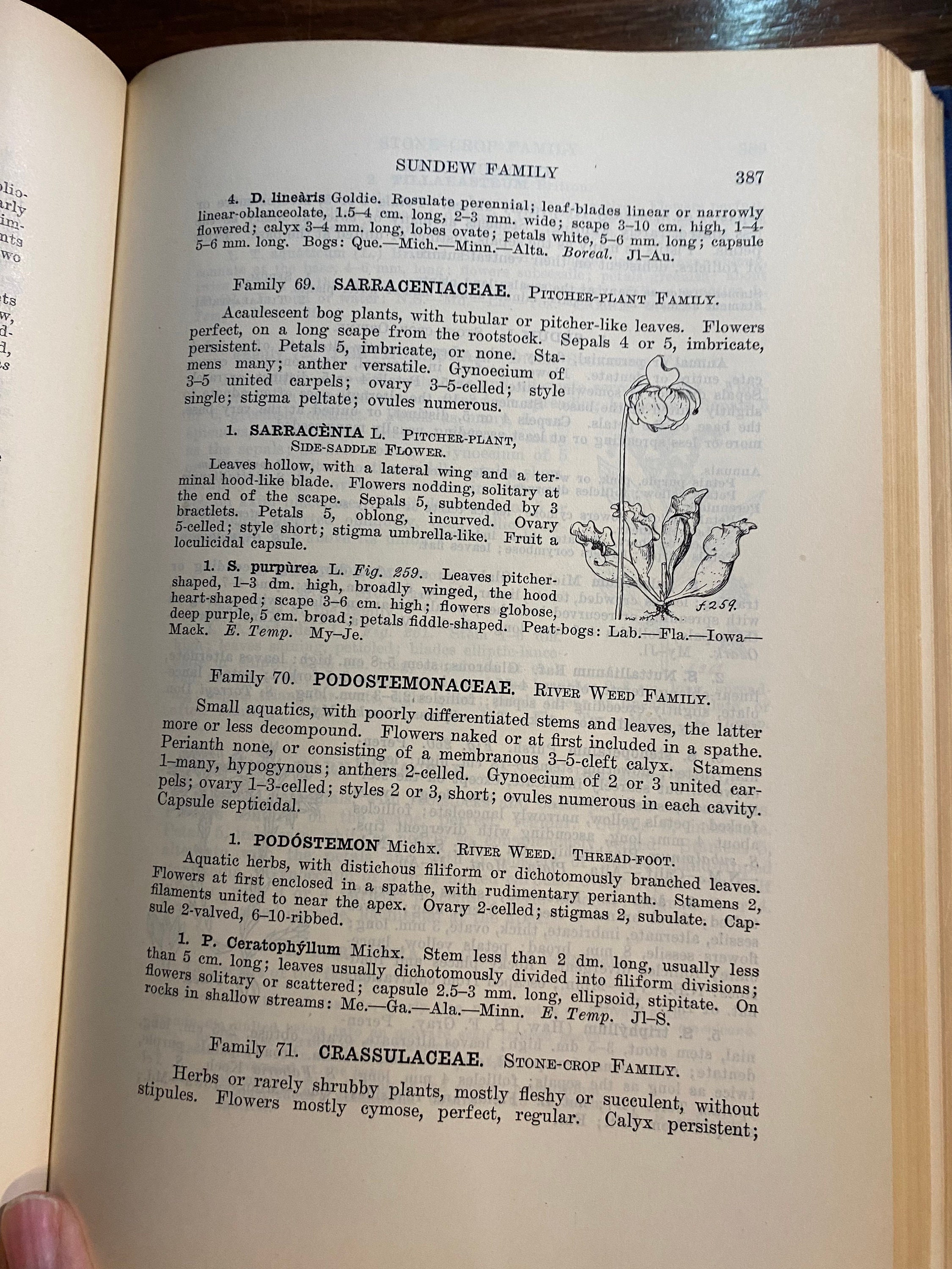 Flora of the Prairies and Plains of Central North America - per Axel ...