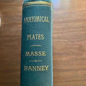 Può includere: Un libro rilegato in verde con lettere dorate sul dorso. Il titolo è "Anatomical Plates" di Masse Ranney.