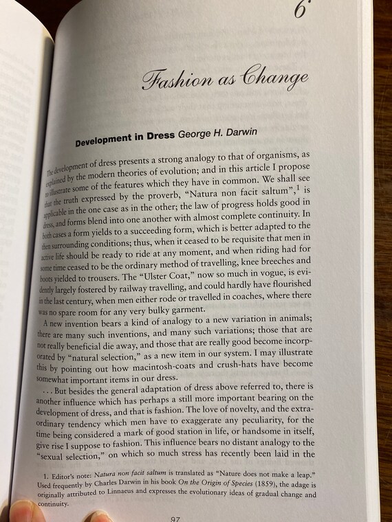 Fashion Foundations Early Writings on Fashion and Dress - Johnson,  Torntore, Echer - 2003 - History of Clothing / Culture / Identity - Etsy