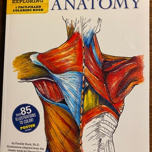 Grey&#39;s Anatomy Libro para colorear El cuerpo humano - Freddy Stark - 2011 Disección ilustrada Estructura del cuerpo / Músculos, etc. Guía - Manual