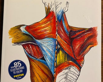 Gray's Anatomy Coloring Book The Human Body - Freddy Stark - 2011  Illustrated Dissection Body Structure / Muscles etc Guide - Manual