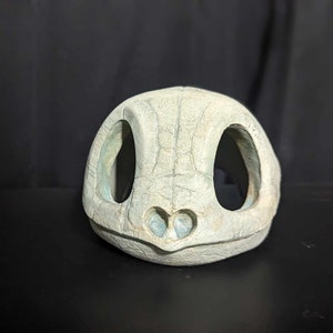 Replica Squirtle Skull 3D Print
